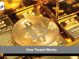 how Twaml works